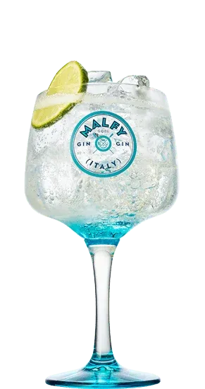 Gin-tonic Malfy 🪩🍸🥂